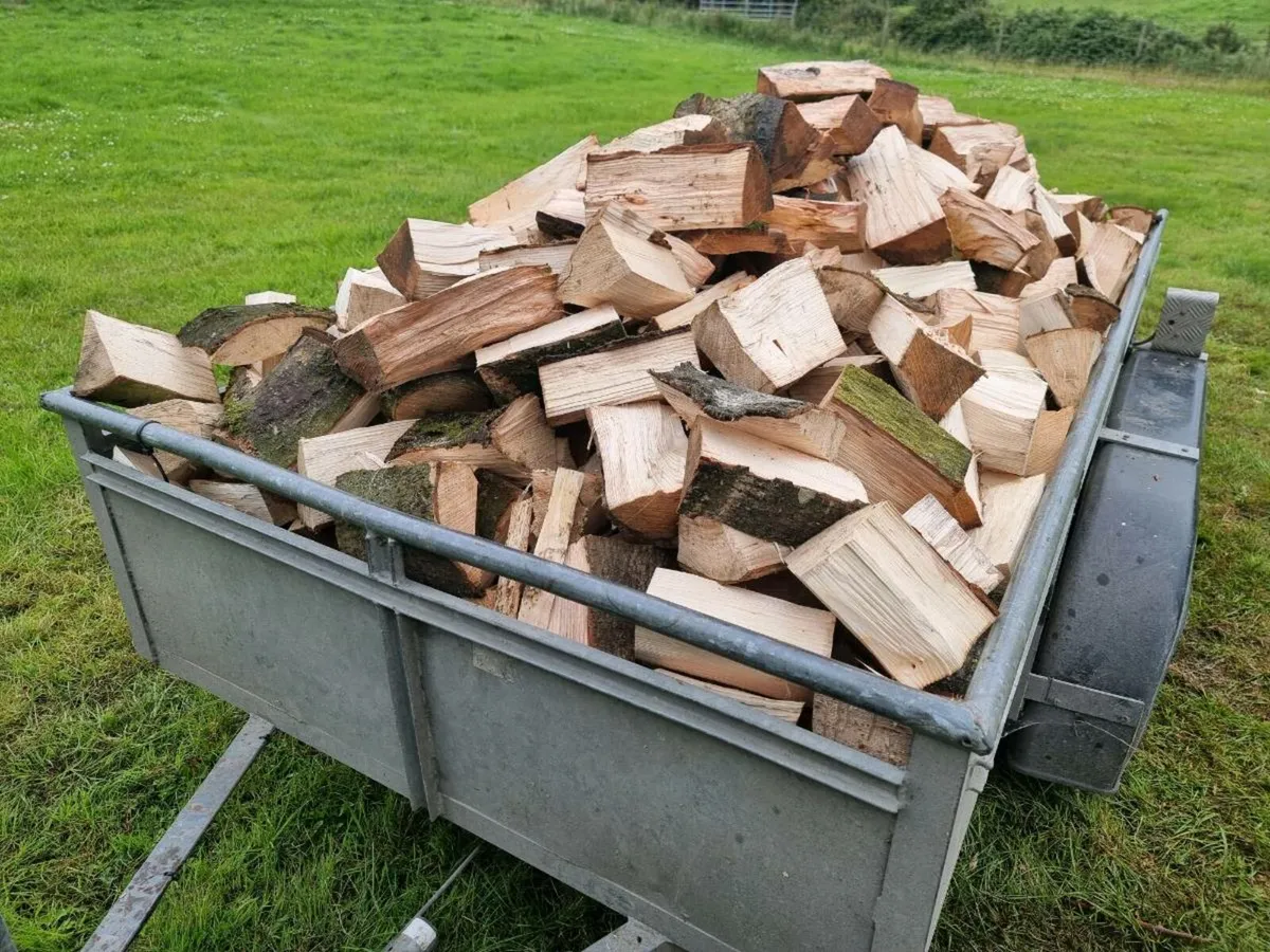 Firewood - Image 2