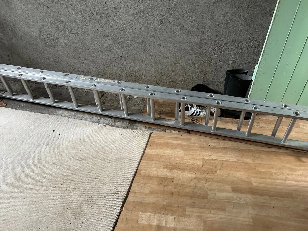 Ladder - Image 3