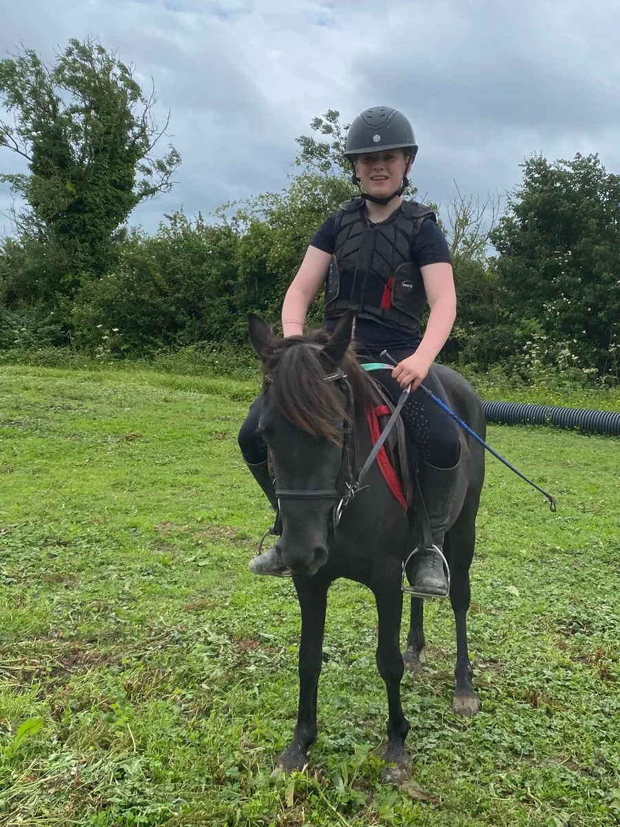 12 4 yr old pony - Image 1