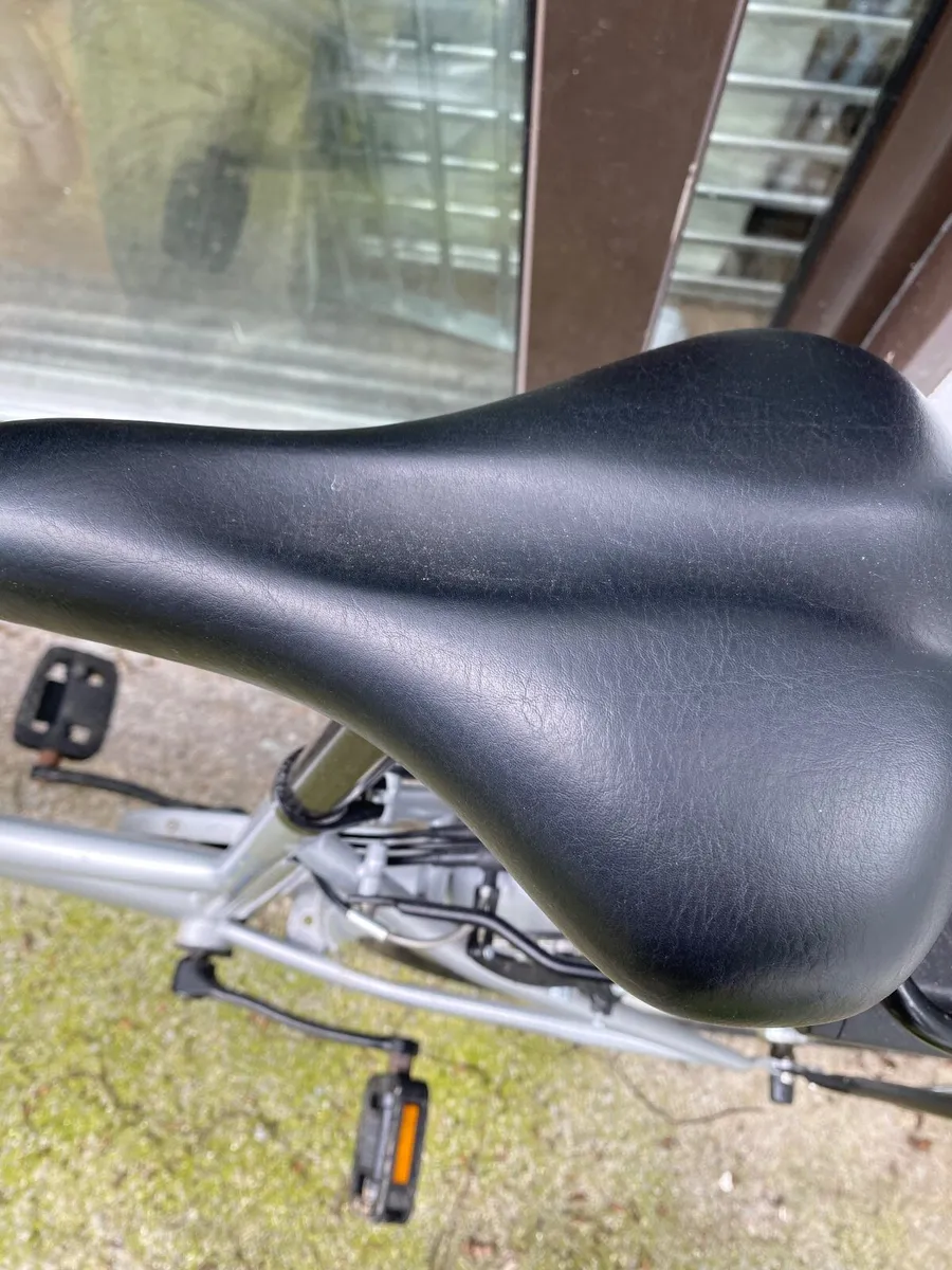 Electric Bike - Image 3