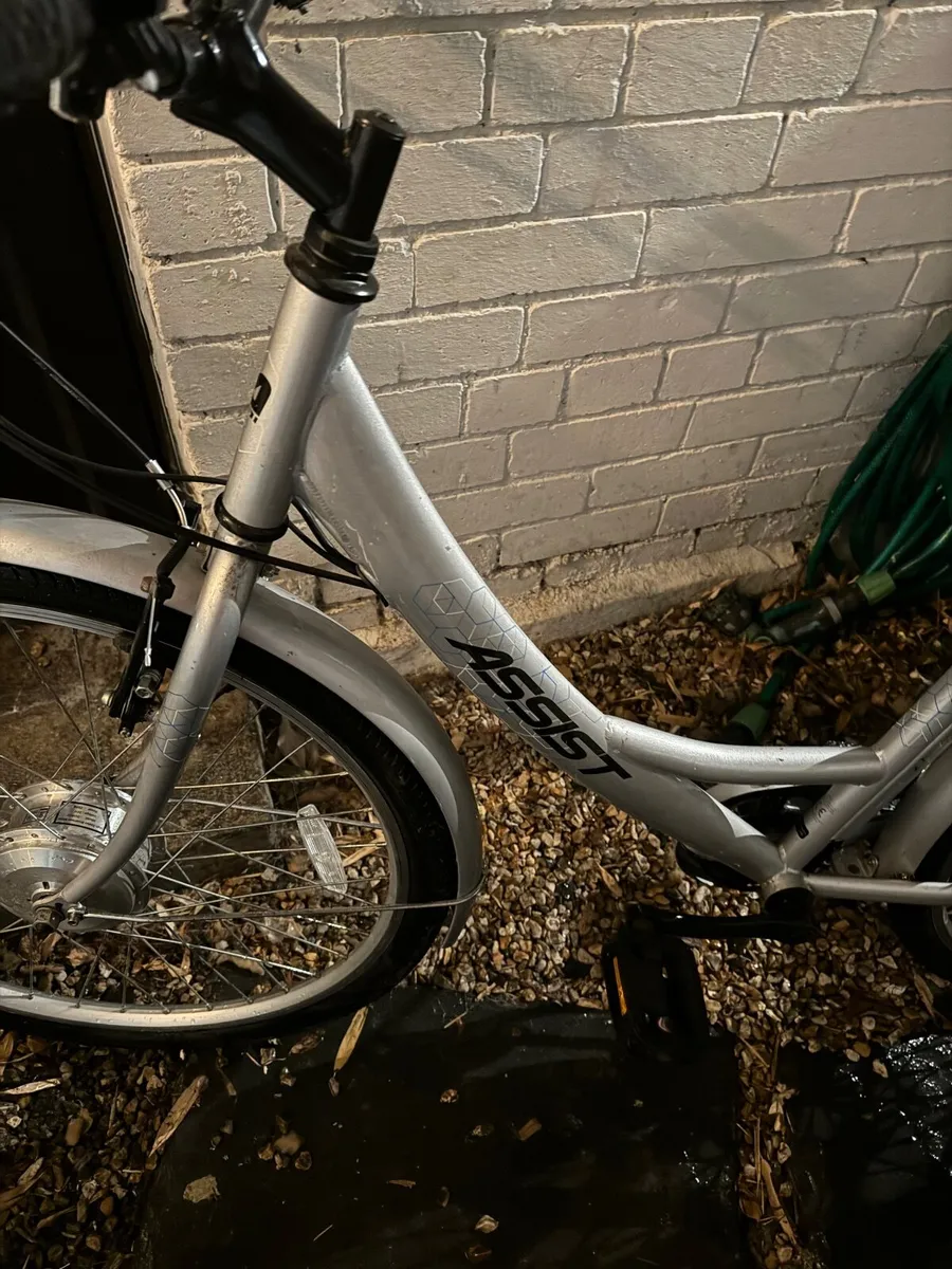 Electric Bike - Image 4