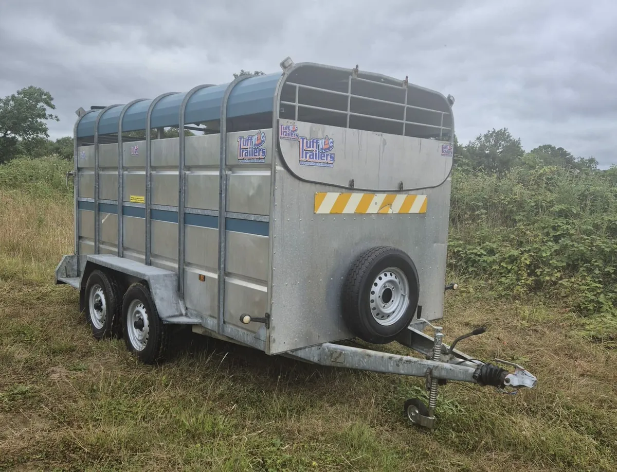 Tuffmac  12 x 6 cattle  trailer - Image 1
