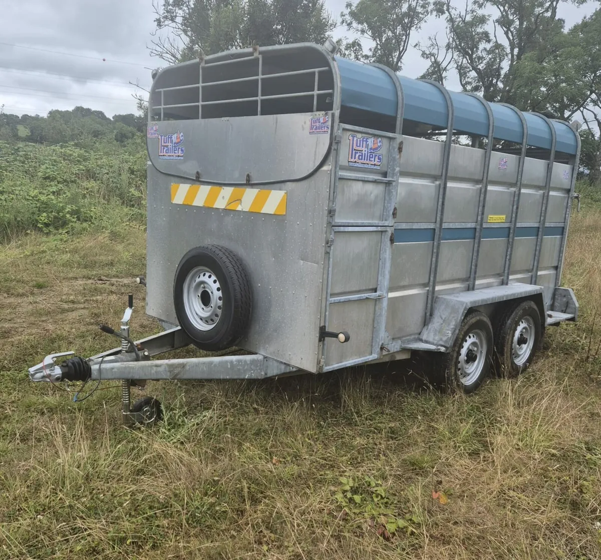 Tuffmac  12 x 6 cattle  trailer - Image 3