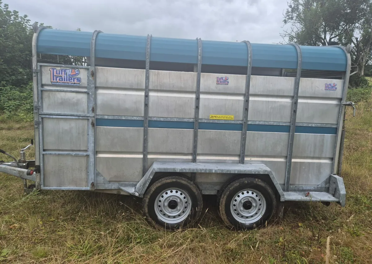 Tuffmac  12 x 6 cattle  trailer - Image 4