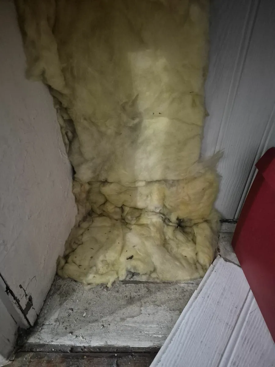 Insulation - Image 1