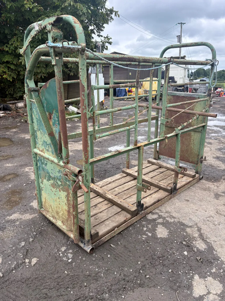 Cattle crush - Image 1