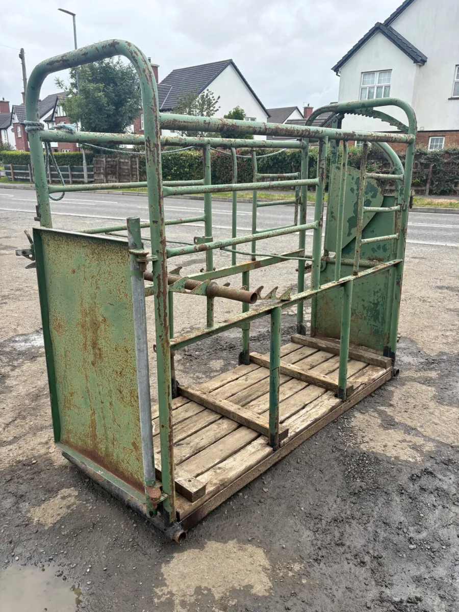 Cattle crush - Image 2