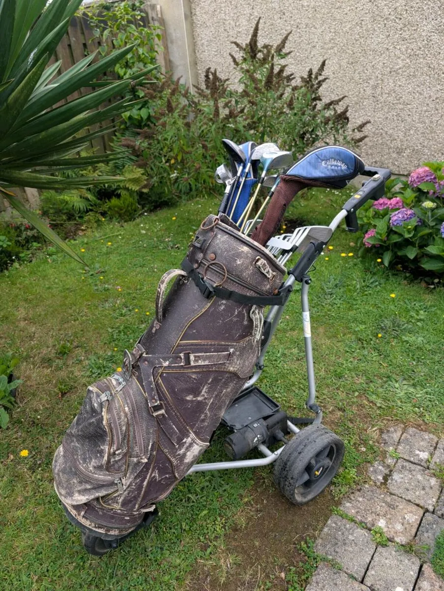 Mizuno mp33s Golf clubs fully loaded set up extras - Image 3