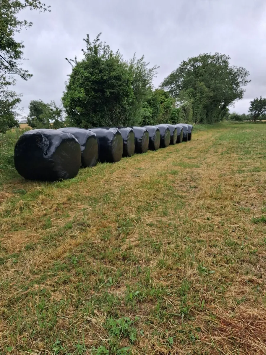 Bales of Silage - Image 1