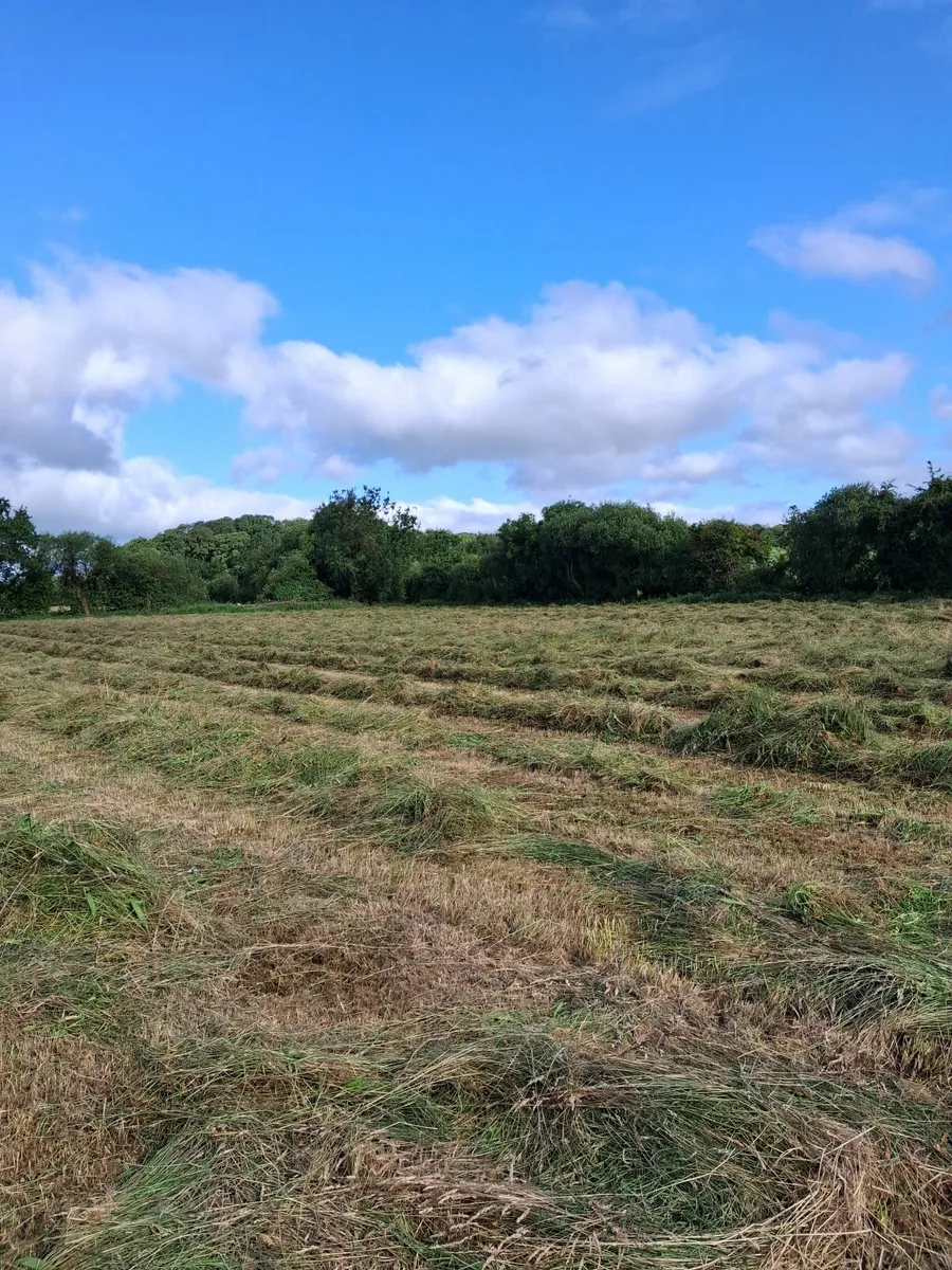 Bales of Silage - Image 2
