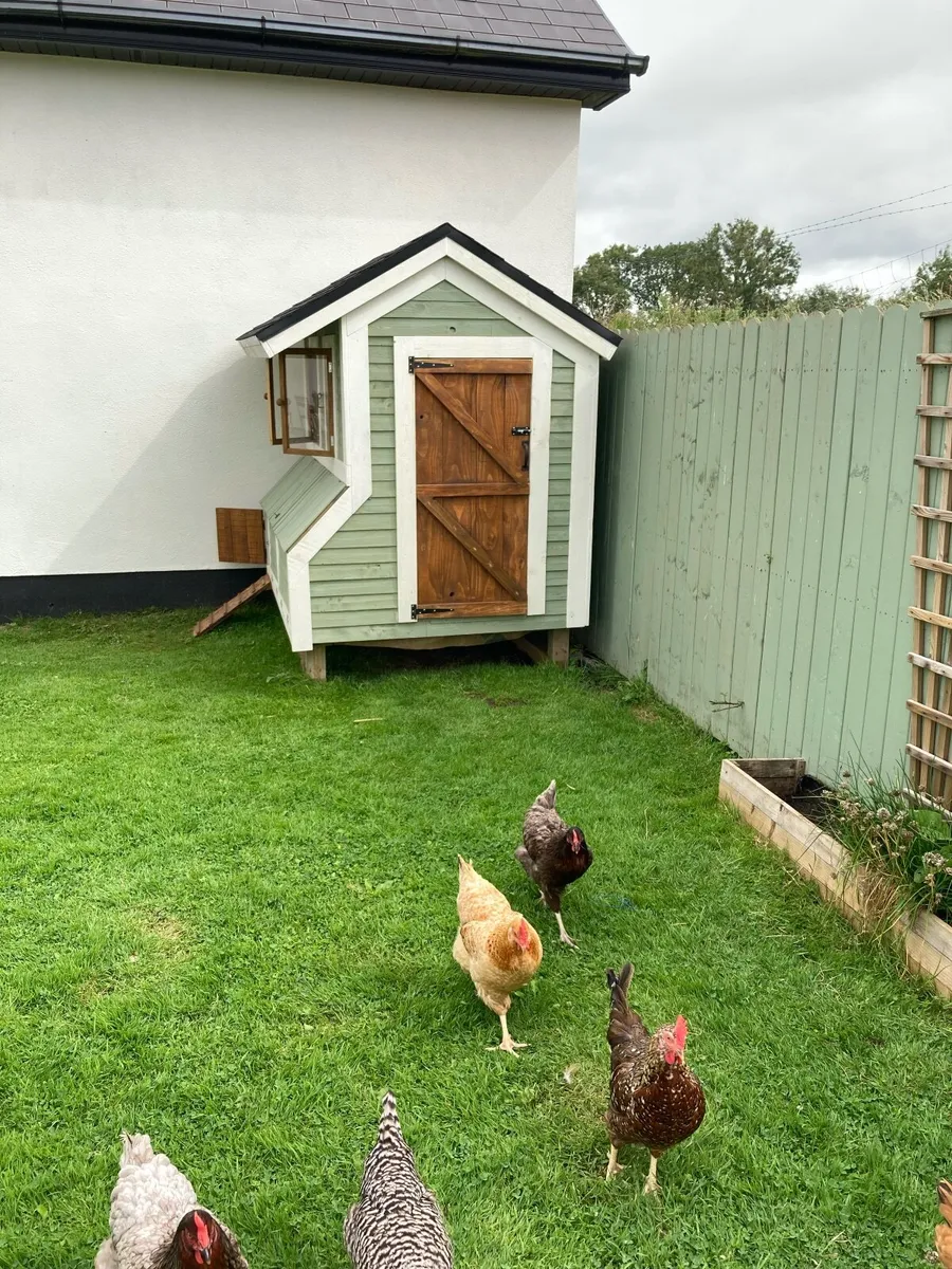 Chicken coop - Image 3