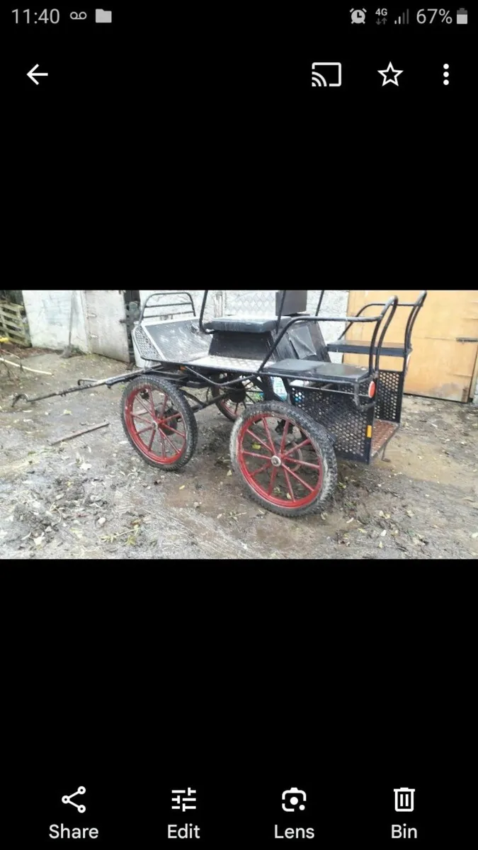 Horse carriage - Image 2