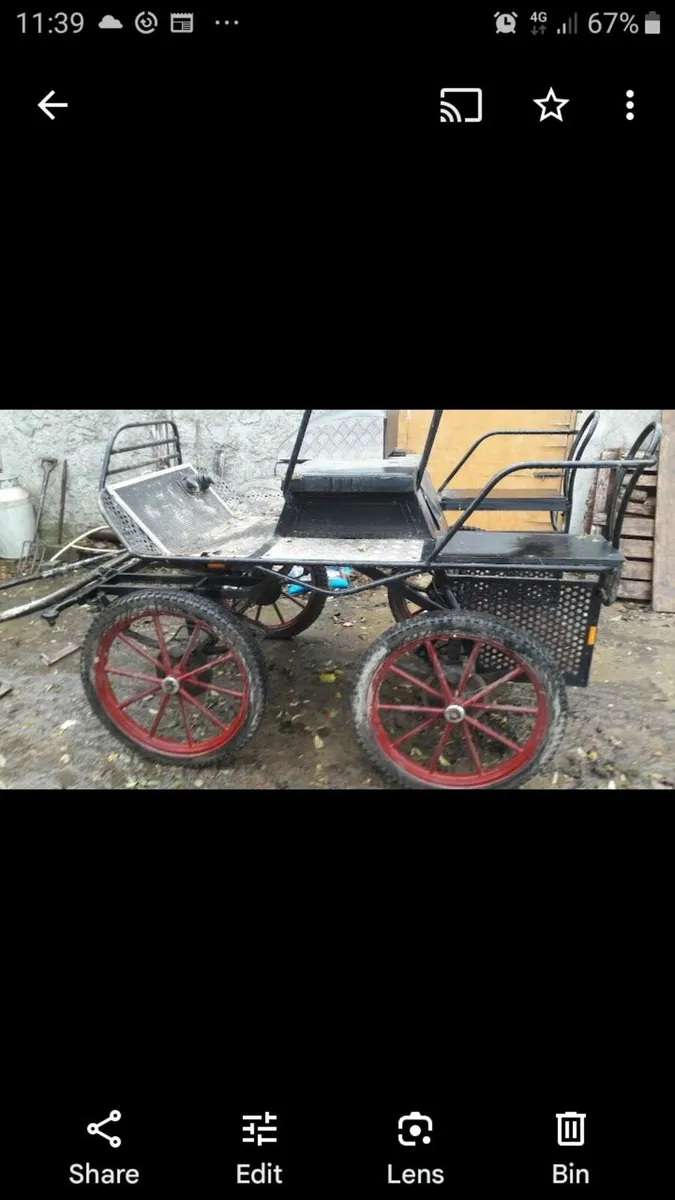 Horse carriage - Image 4