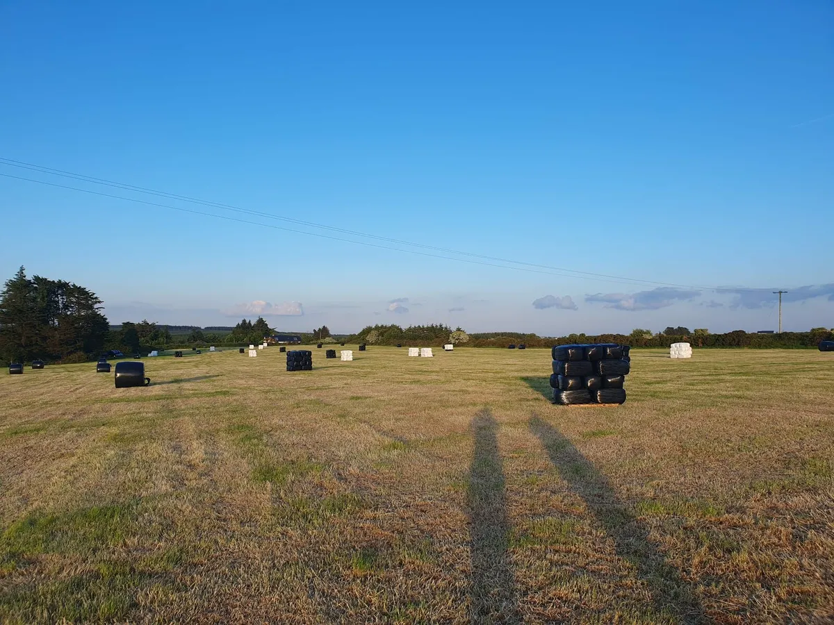 Small Square Bales of Hay & Haylage - Image 3