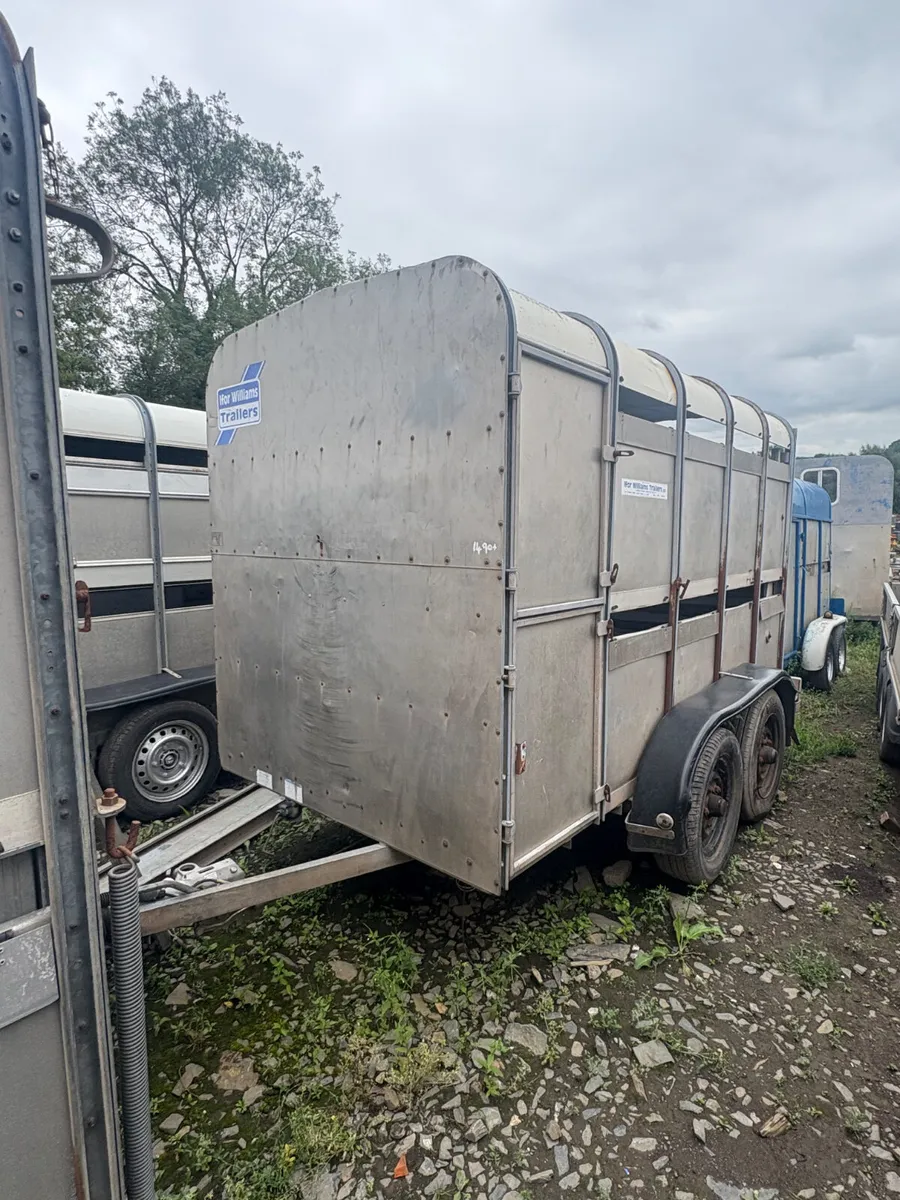 Ifor Williams 10x5 cattle trialer - Image 1