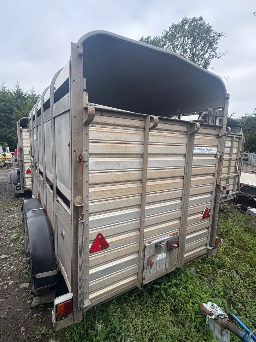 Ifor Williams 10x5 cattle trialer - Image 2