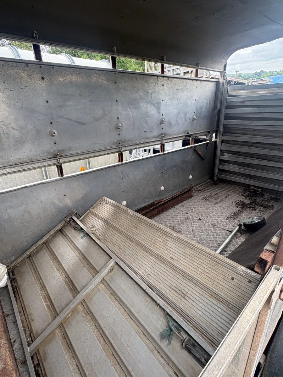 Ifor Williams 10x5 cattle trialer - Image 3