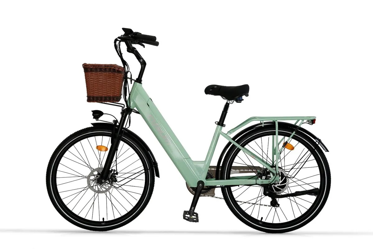 Free Delivery - Force Cysum Electric Bike Offer - Image 2