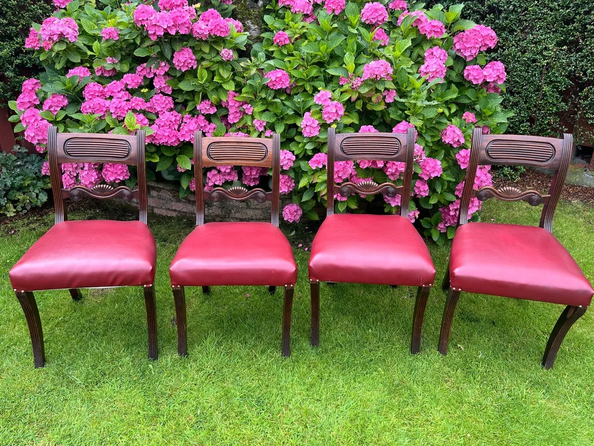 4 Beautiful Regency Dining Chairs - Image 4