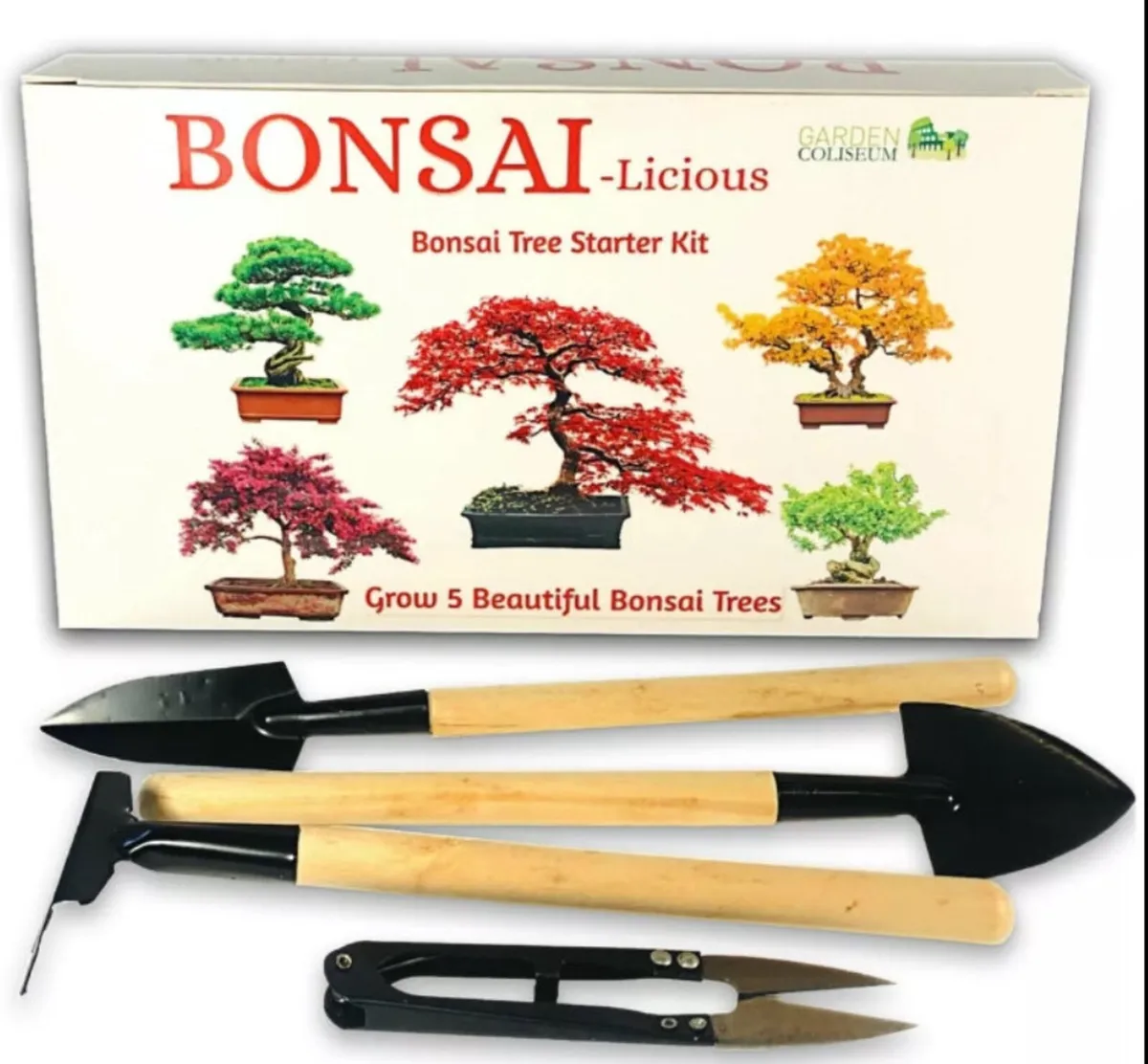 Bonsai Tree Kit Grow 6 Of Your Own Bonsai Trees! - Image 1