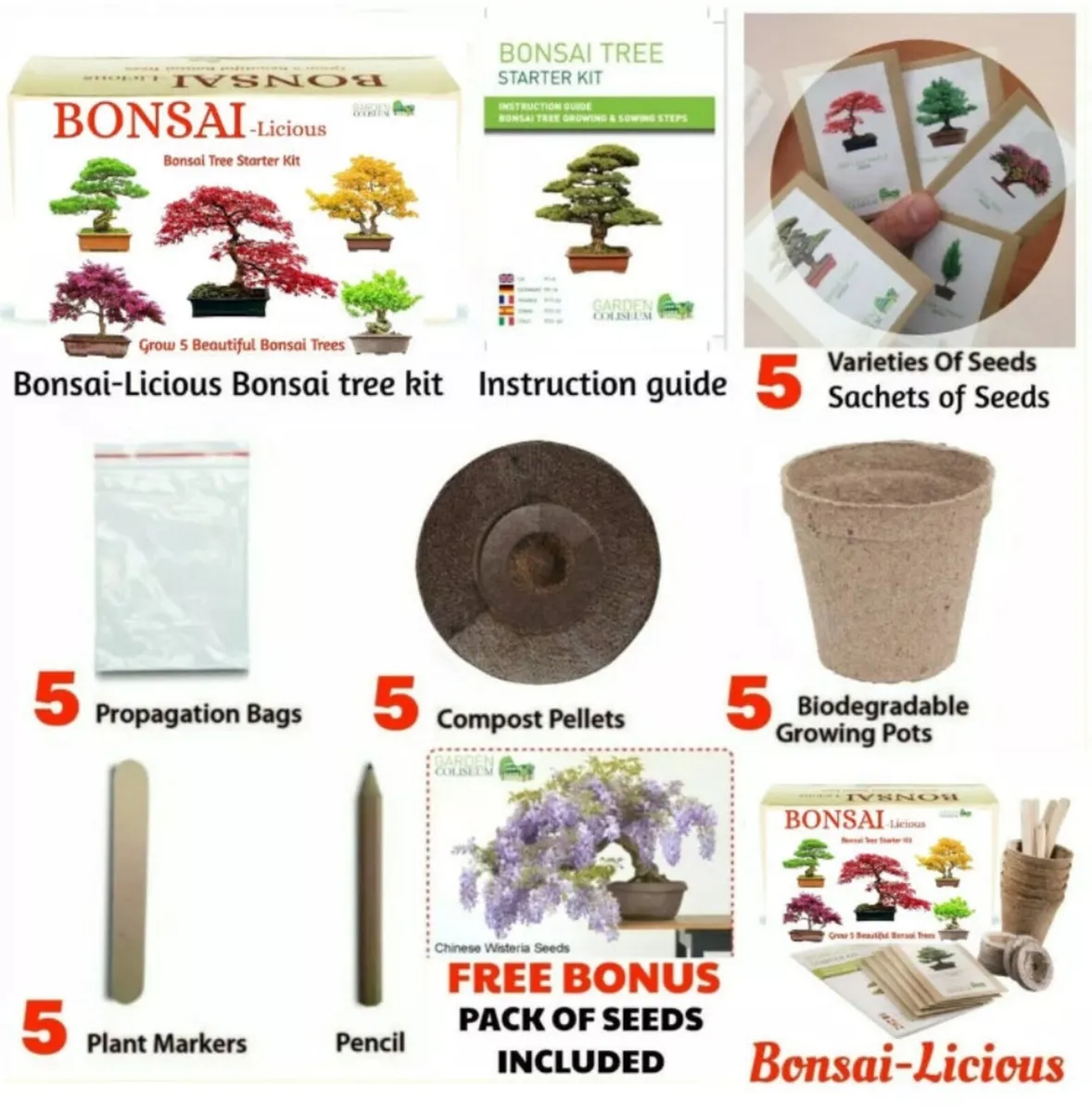 Bonsai Tree Kit Grow 6 Of Your Own Bonsai Trees! - Image 2