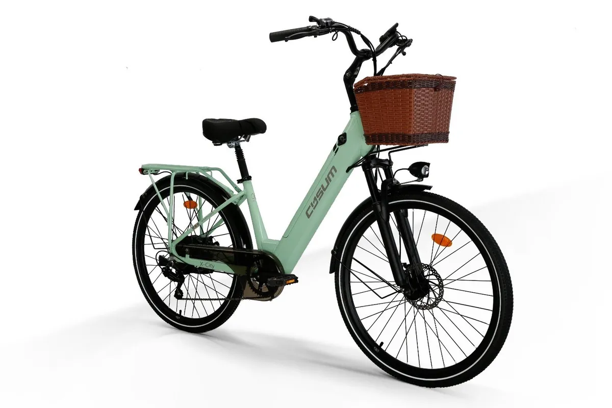 Free Delivery & €500 Off - Image 4