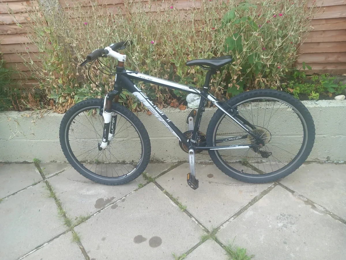 teenager mountain bike - Image 1