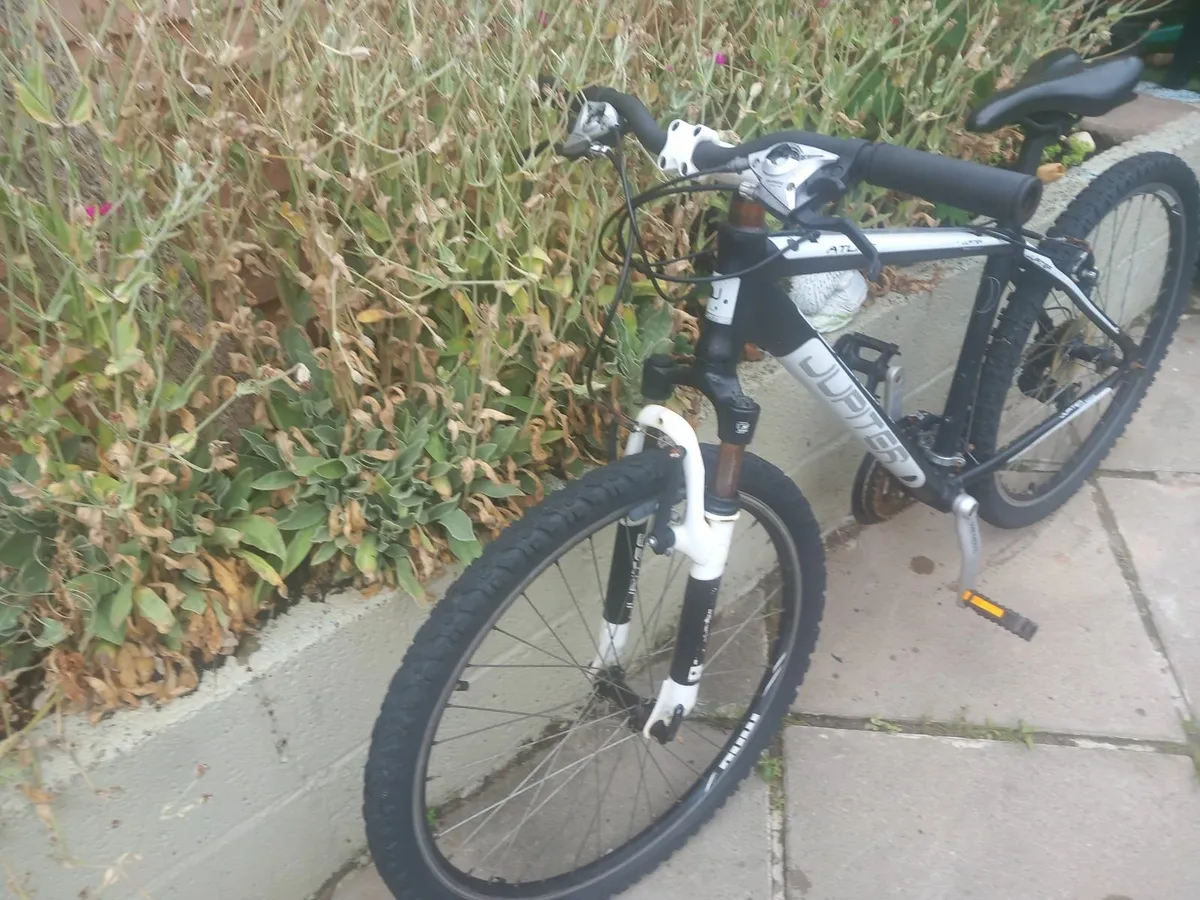 teenager mountain bike - Image 3