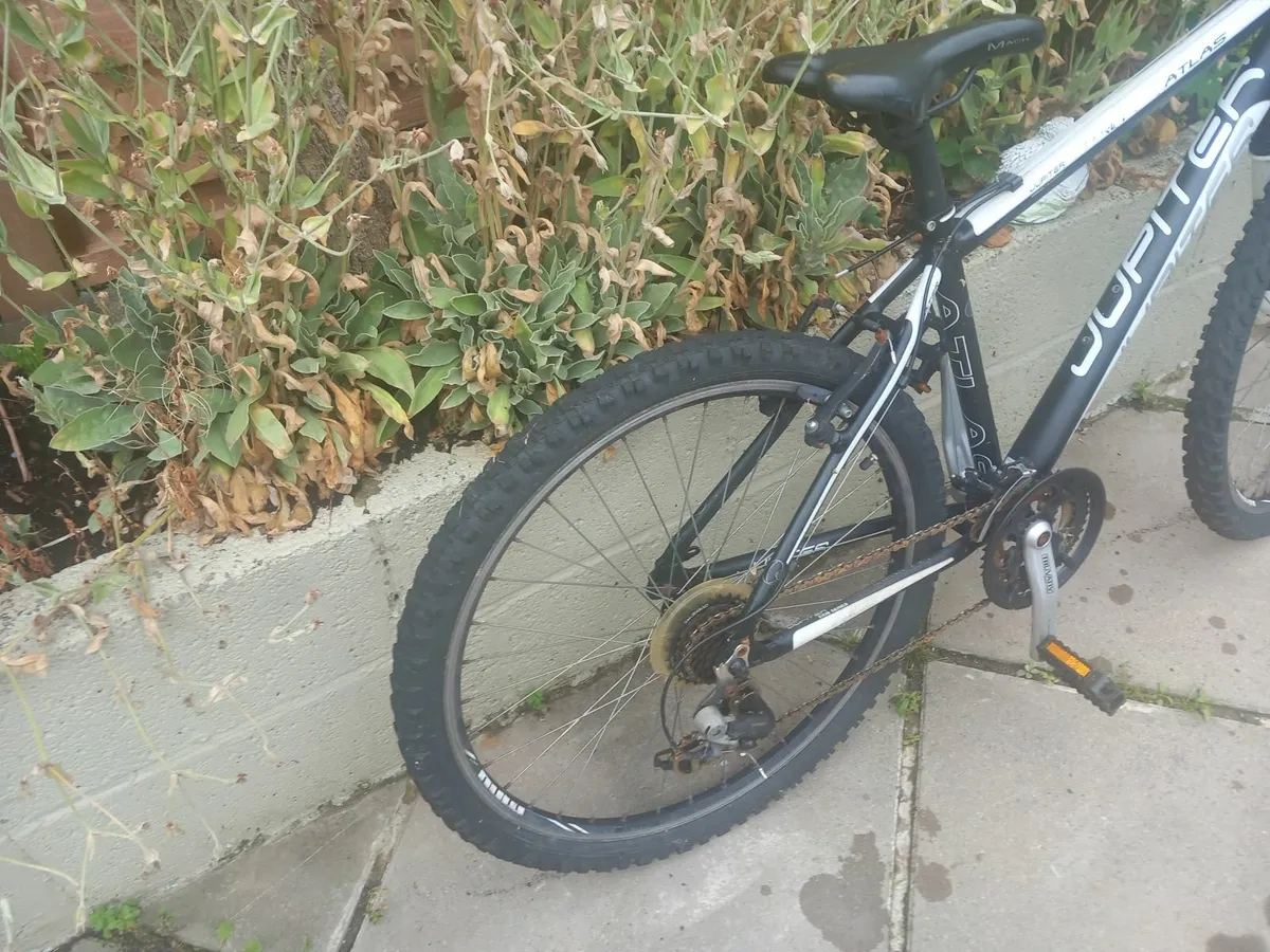 teenager mountain bike - Image 4