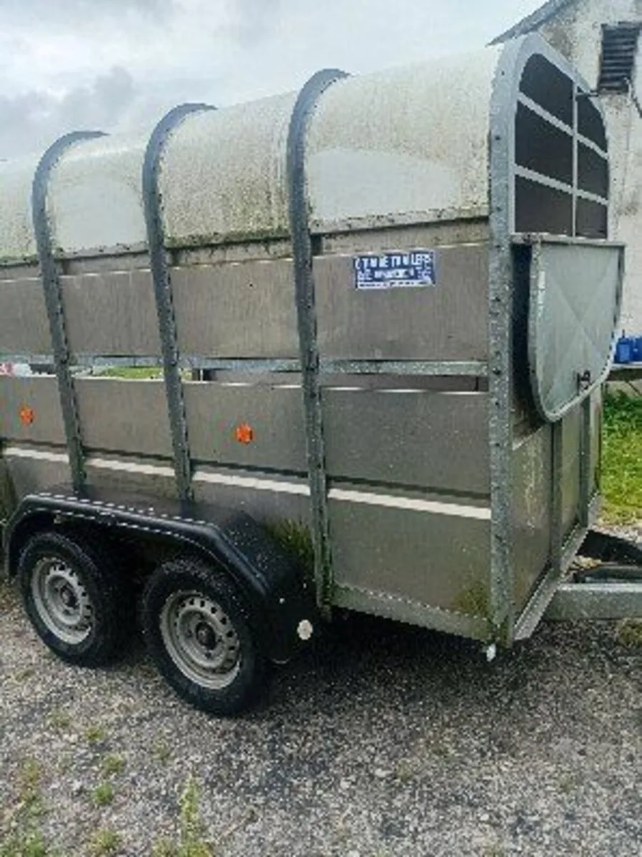 Cattle/sheep trailer - Image 1