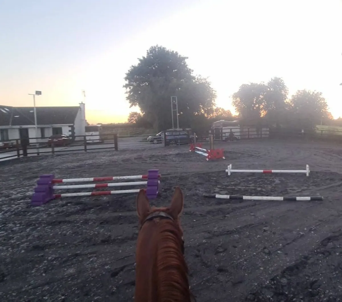 Stables/ Yard/ Livery - Image 2