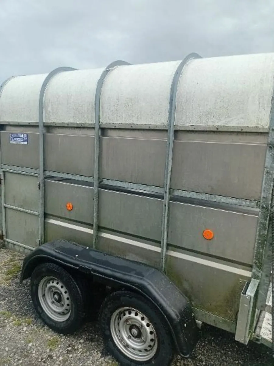 Cattle/sheep trailer - Image 3