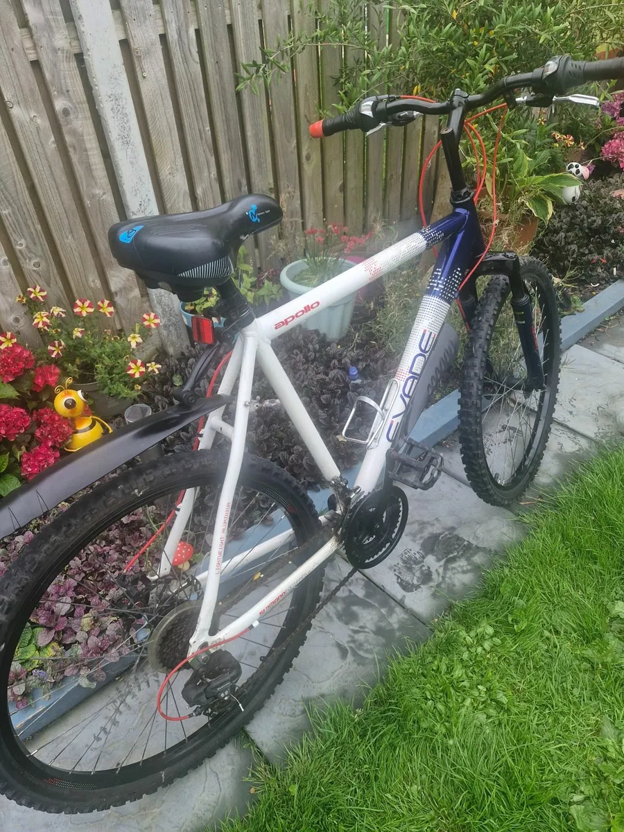 Bike - Image 1