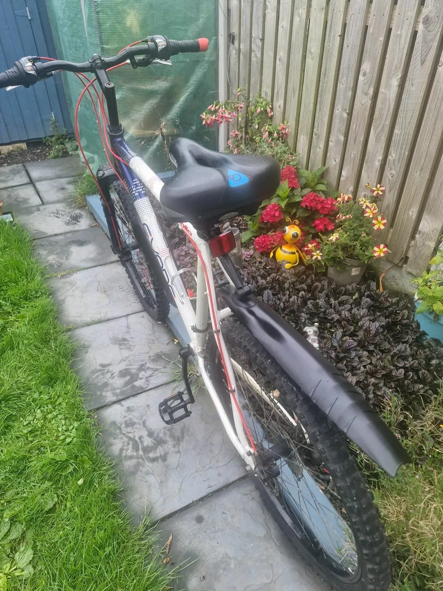 Bike - Image 2