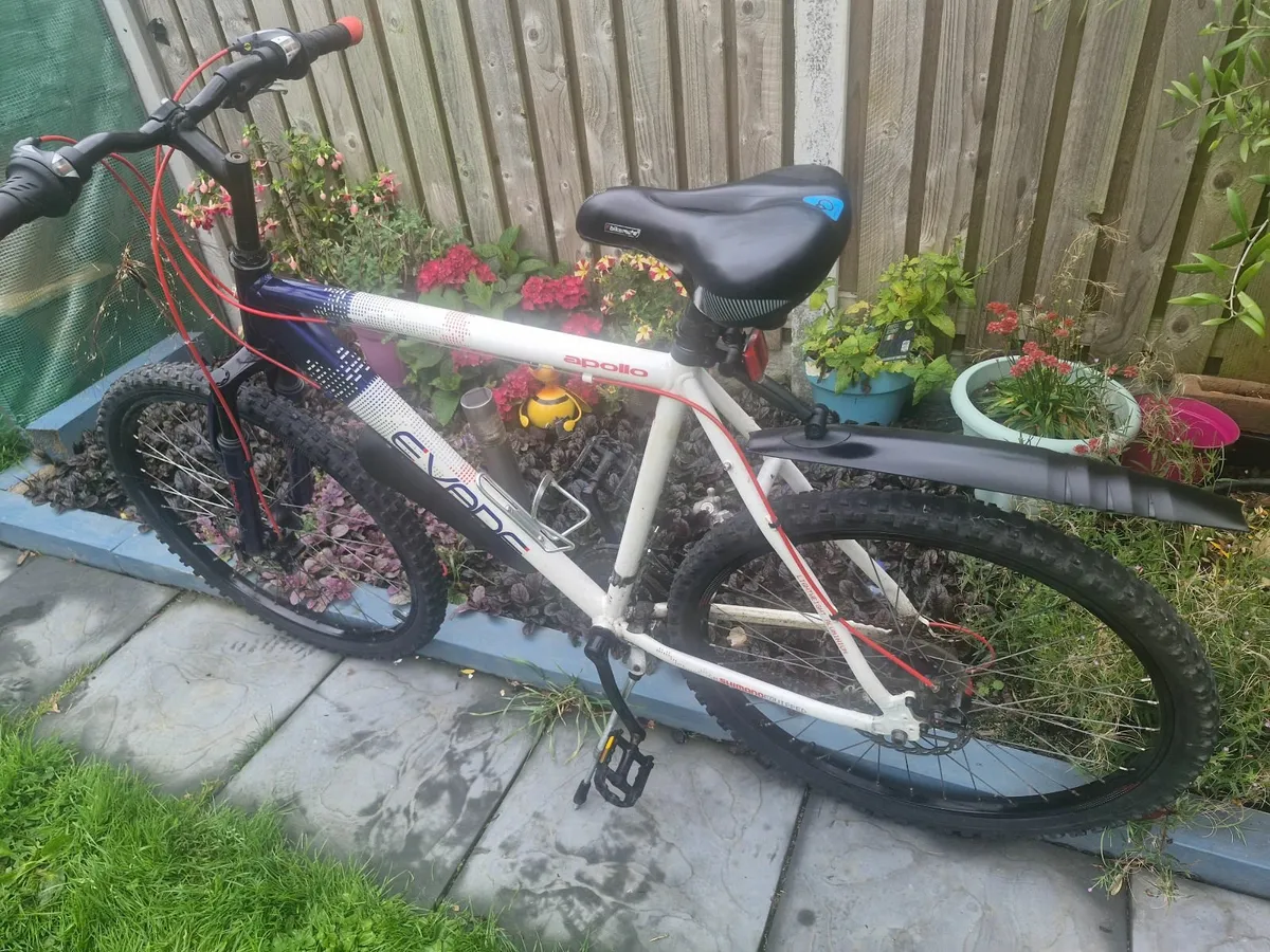Bike - Image 3