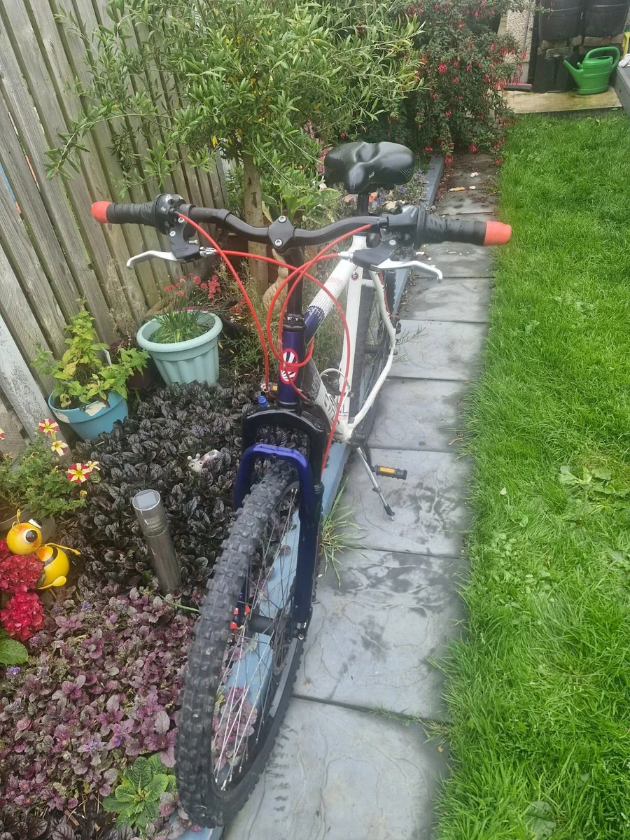 Bike - Image 4