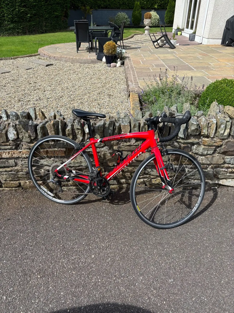 Specialized allez road bike - Image 1