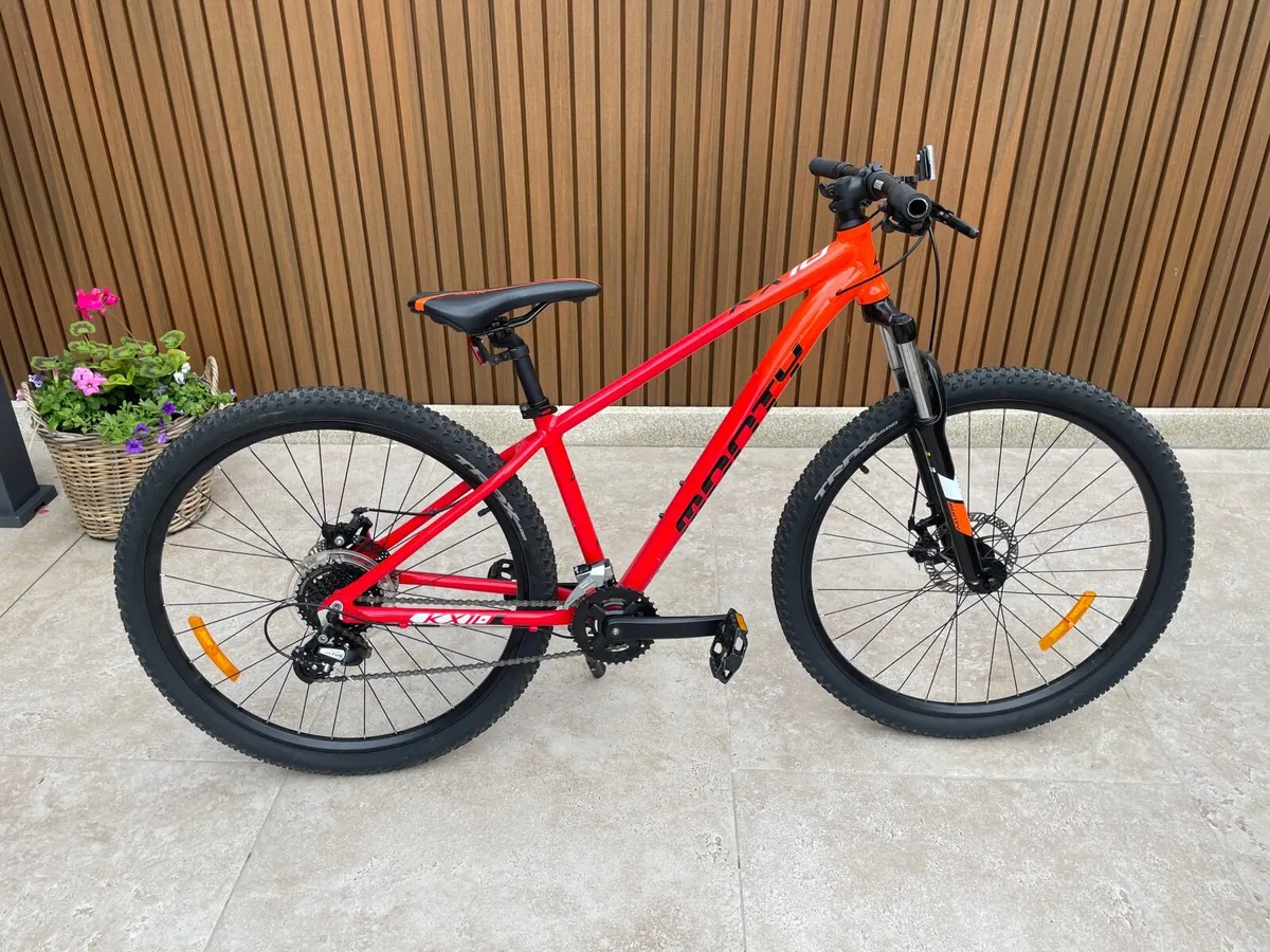 mountain bike - Image 1