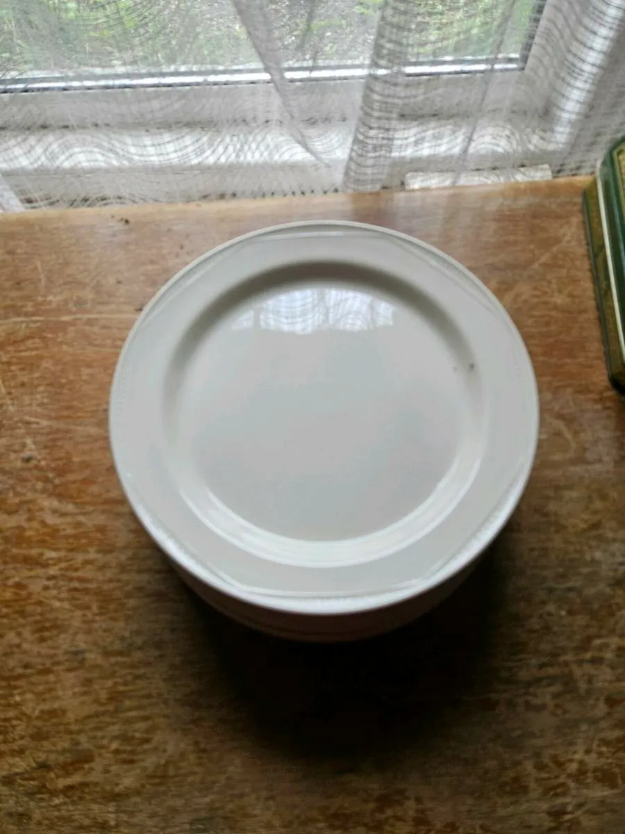 Steelite Plates x 11 - Image 1