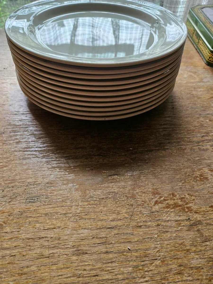 Steelite Plates x 11 - Image 2