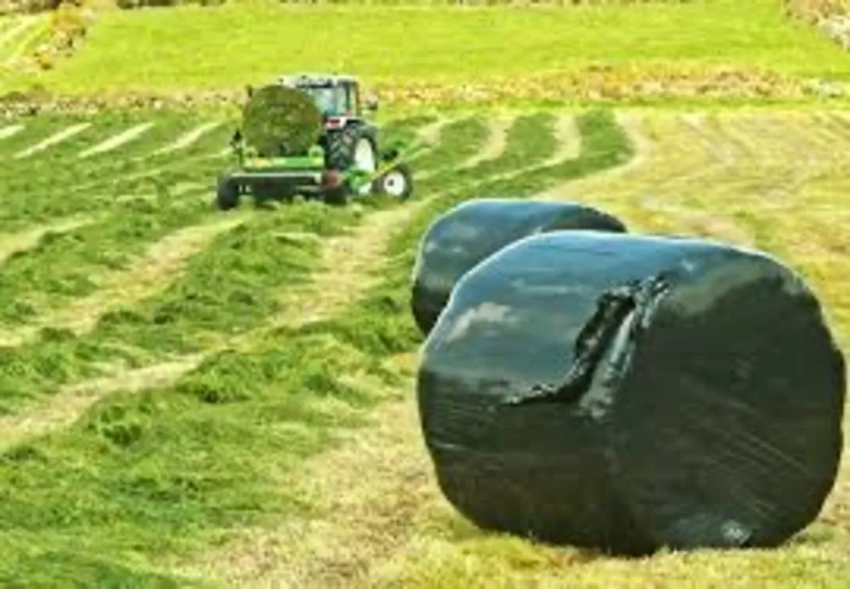 Silage for sale