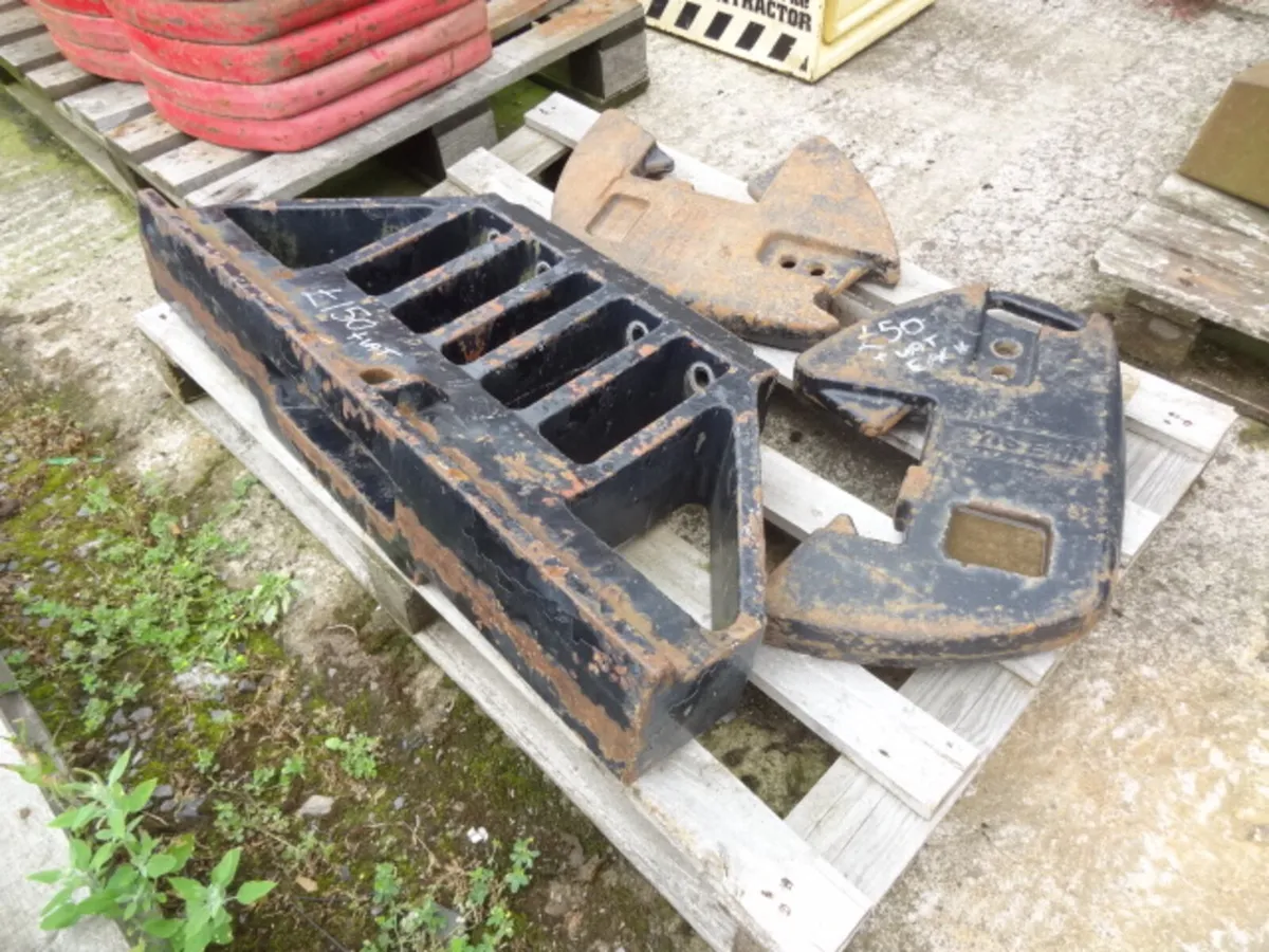 Case Weight Carrier and 45kg weights - Image 1