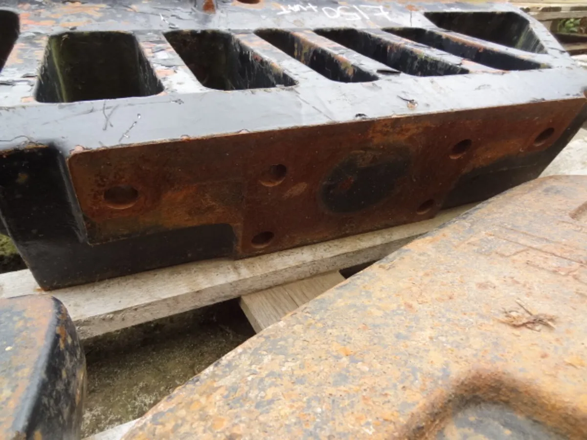 Case Weight Carrier and 45kg weights - Image 4