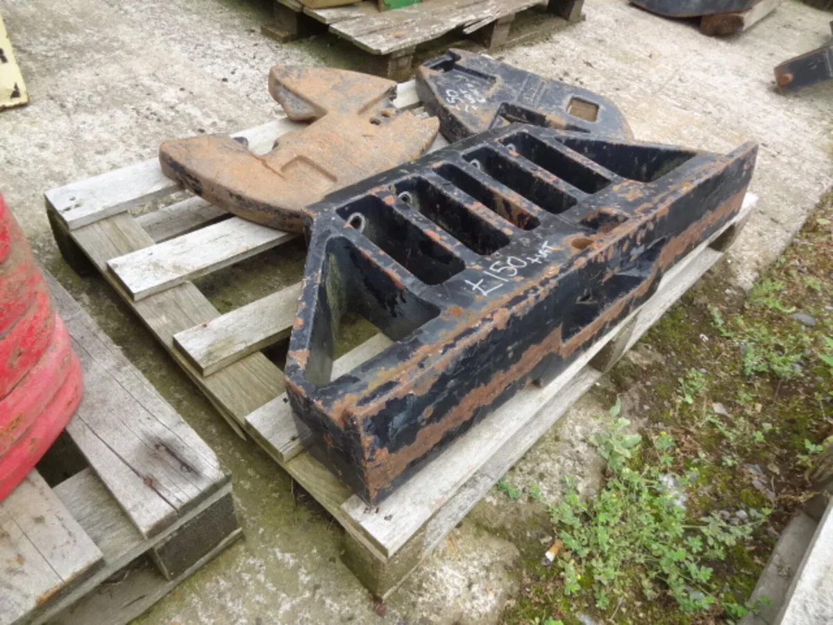 Case Weight Carrier and 45kg weights - Image 2