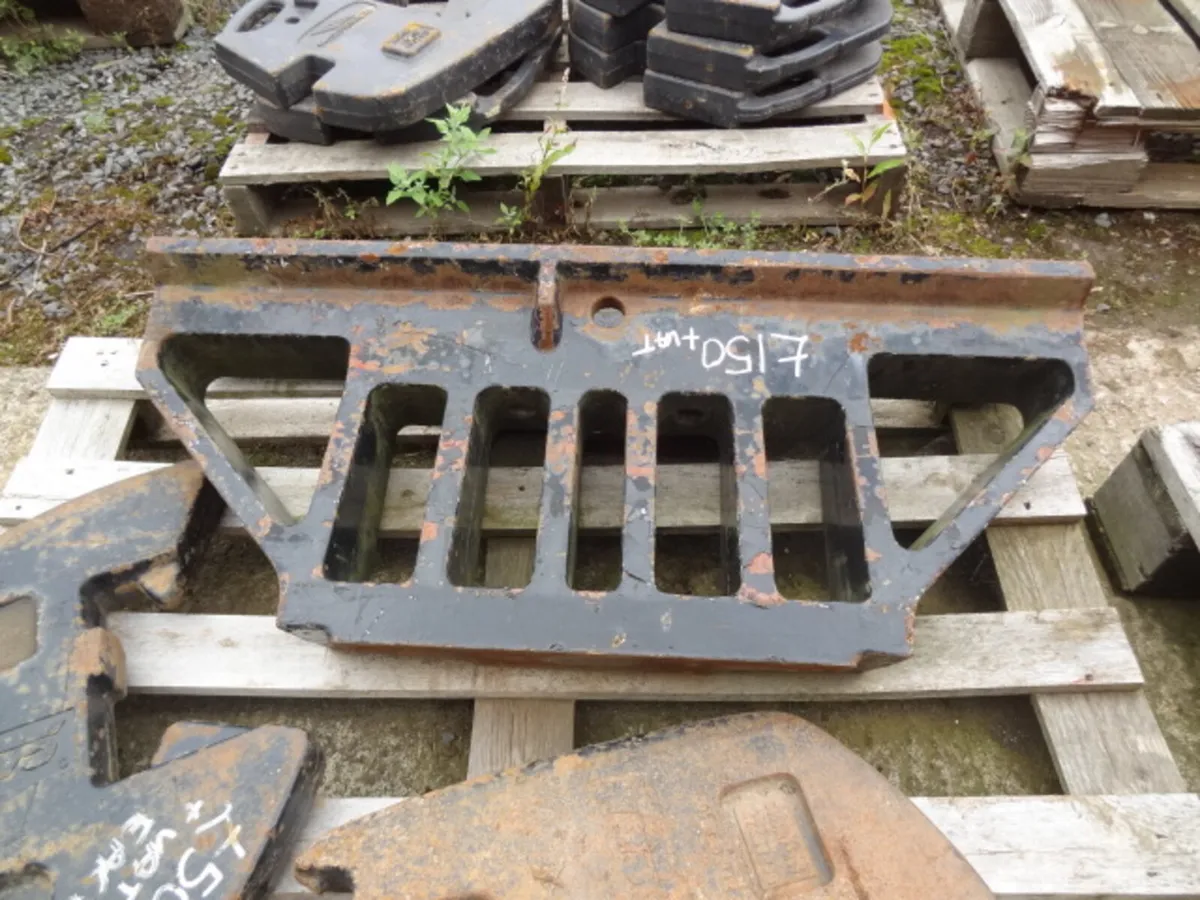 Case Weight Carrier and 45kg weights - Image 3