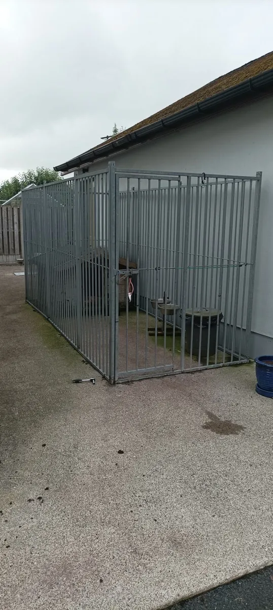 DOG RUN - Image 2