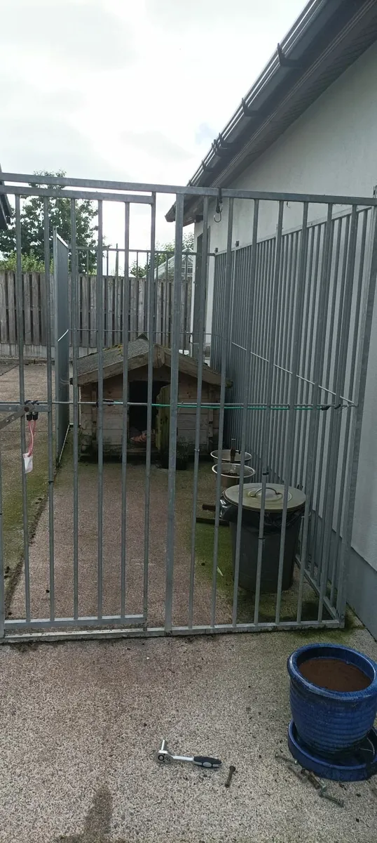 DOG RUN - Image 3