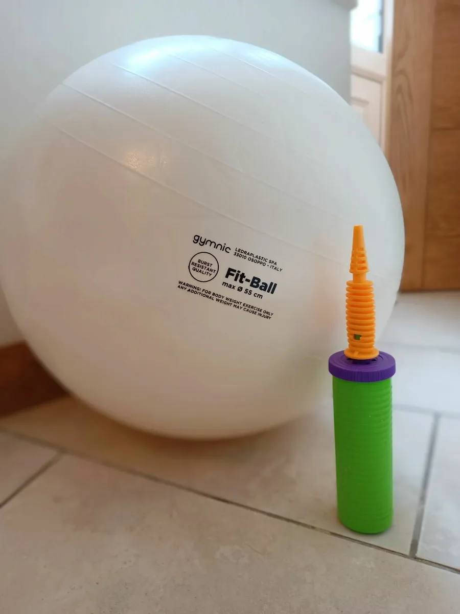 Exercise & Pregnancy Ball & Pump - Image 1