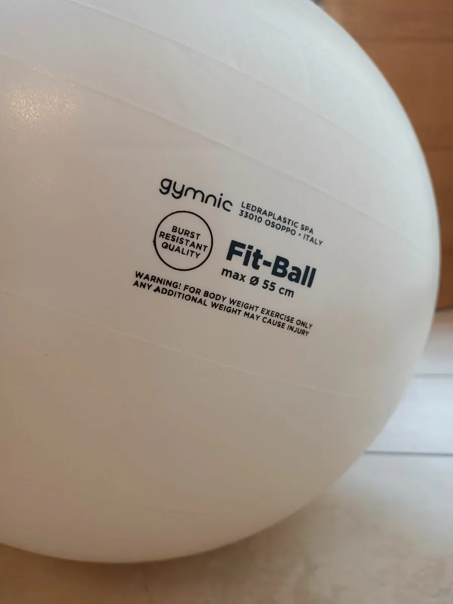 Exercise & Pregnancy Ball & Pump - Image 2