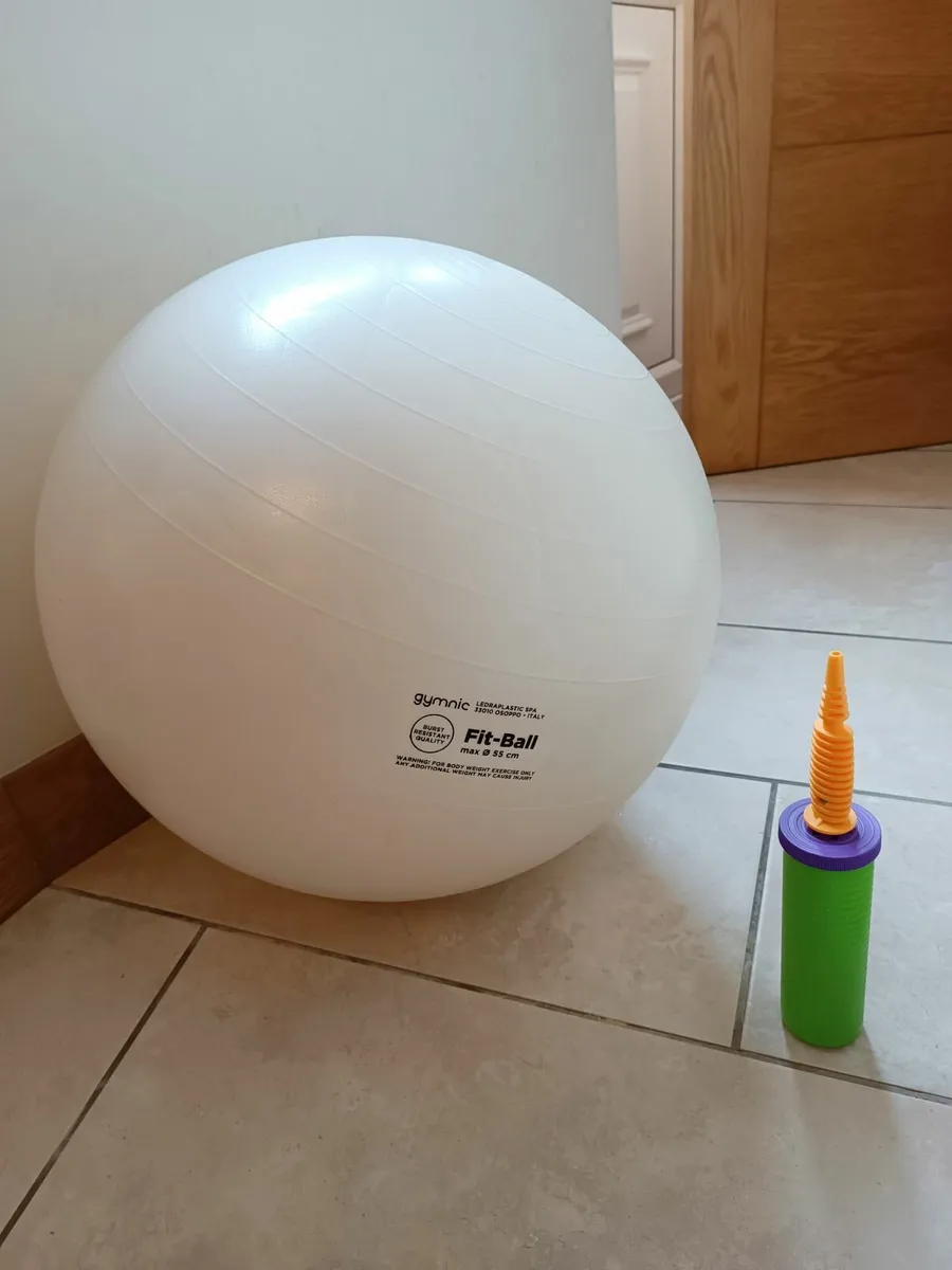 Exercise & Pregnancy Ball & Pump - Image 3